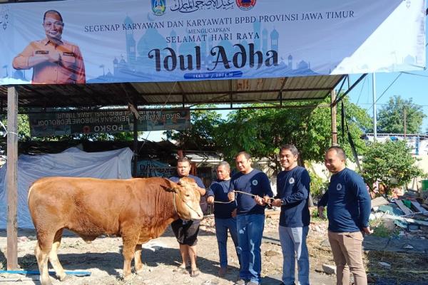 Idul Adha 1445, BPBD Jatim Kurban 4 Ekor Sapi dan 7 Kambing