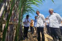 Menko Bidang Pangan Zulkifli Hasan (tengah), mendengarkan penjelasan dari Direktur Utama PT Sinergi Gula Nusantara (SGN), Mahmudi (kiri), terkait bibit tebu varietas unggulan yang akan ditanam untuk mendukung program Swasembada Gula Konsumsi 2028, di kebun tebu Jatiroto, Lumajang, Rabu (20/11/2024). (foto.istimewa) 